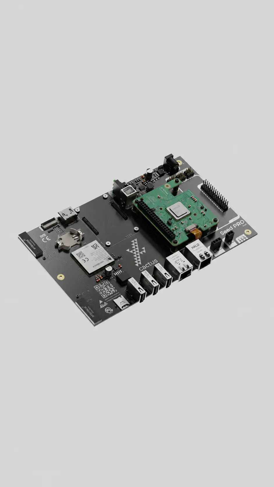 Cactus IoT — SeedPro AI — imagen 3
